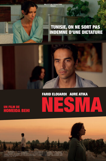 Nesma (2013)
